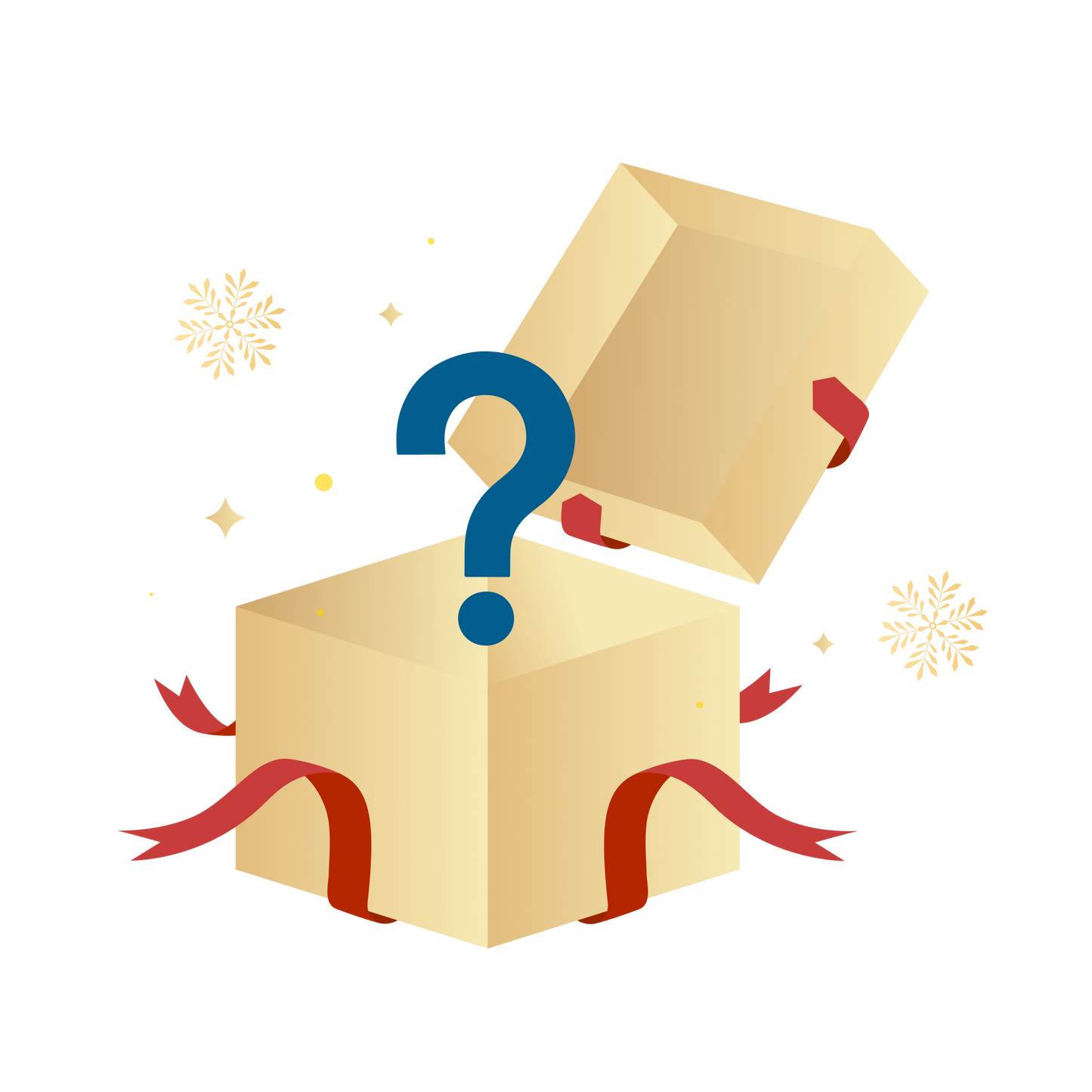 eufy Mystery Box for Christmas (Chosen at Random）