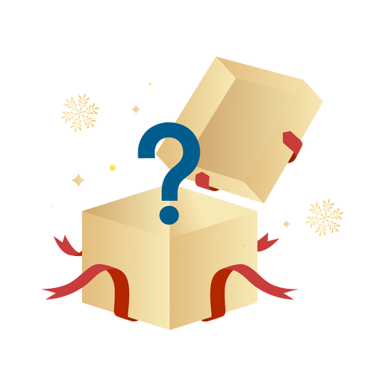 eufy Mystery Box for Christmas (Chosen at Random）